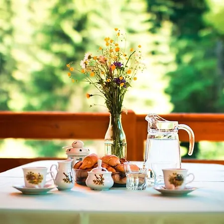 Tatil Evi Wili Hunter *