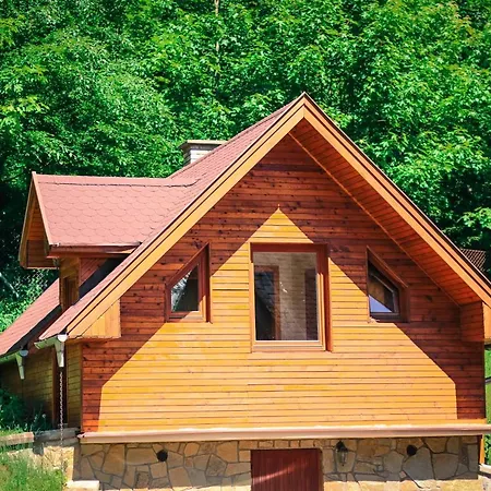 Wili Hunter Tatil Evi Donovaly