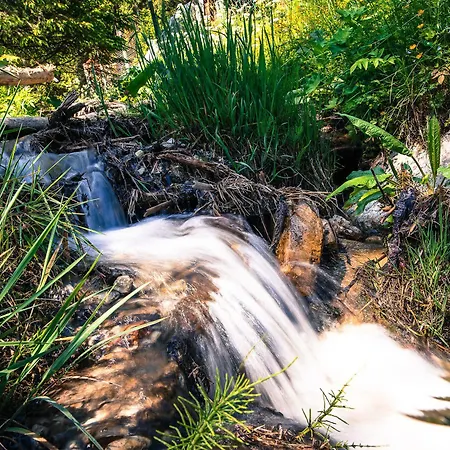 Wili Hunter * Donovaly