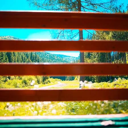 Wili Hunter Tatil Evi