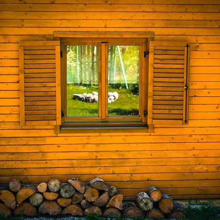 Wili Hunter Tatil Evi *