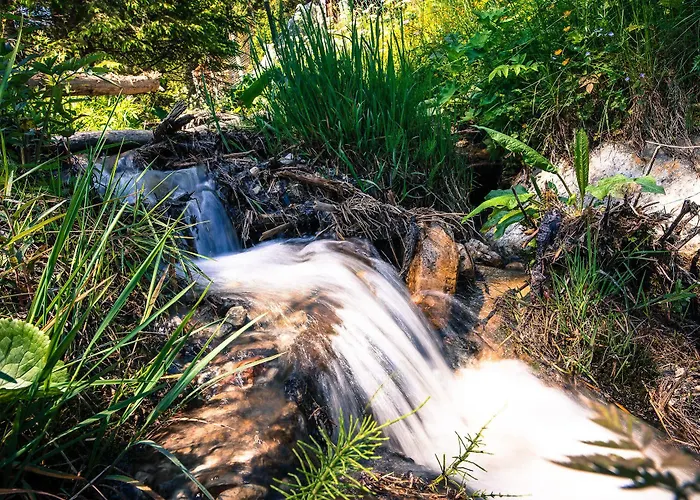 Wili Hunter * دونوفالي