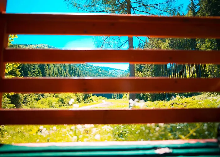 Wili Hunter بيت للعطل