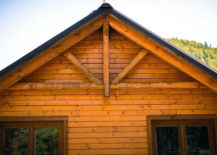 Wili Hunter دونوفالي